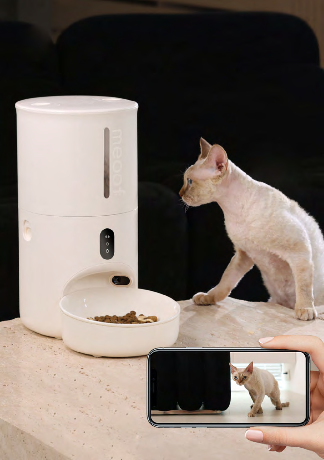 4L Camera App Pet Feeder - V66M
